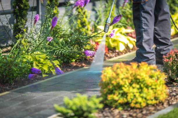 Best House Exterior Washing  in Bronx, NY